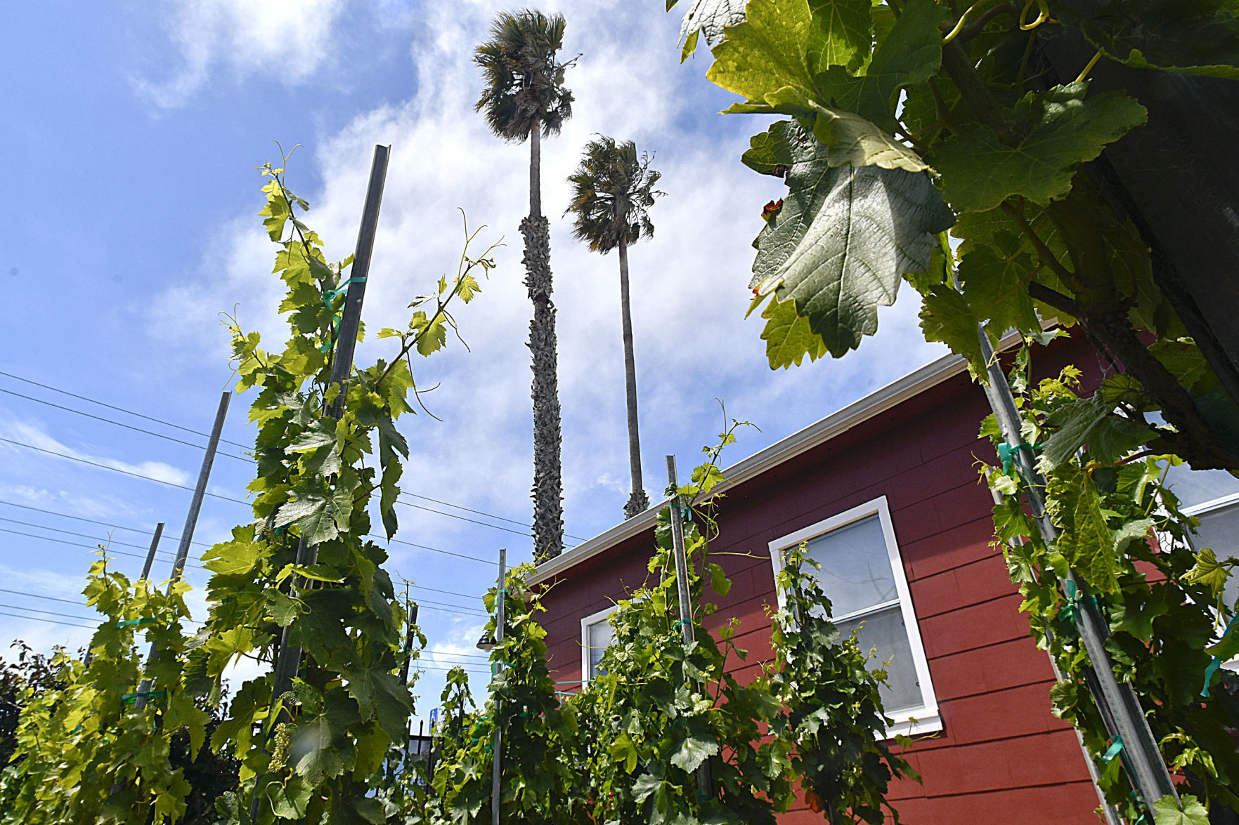 Photos: The beauty of living on the Central Coast